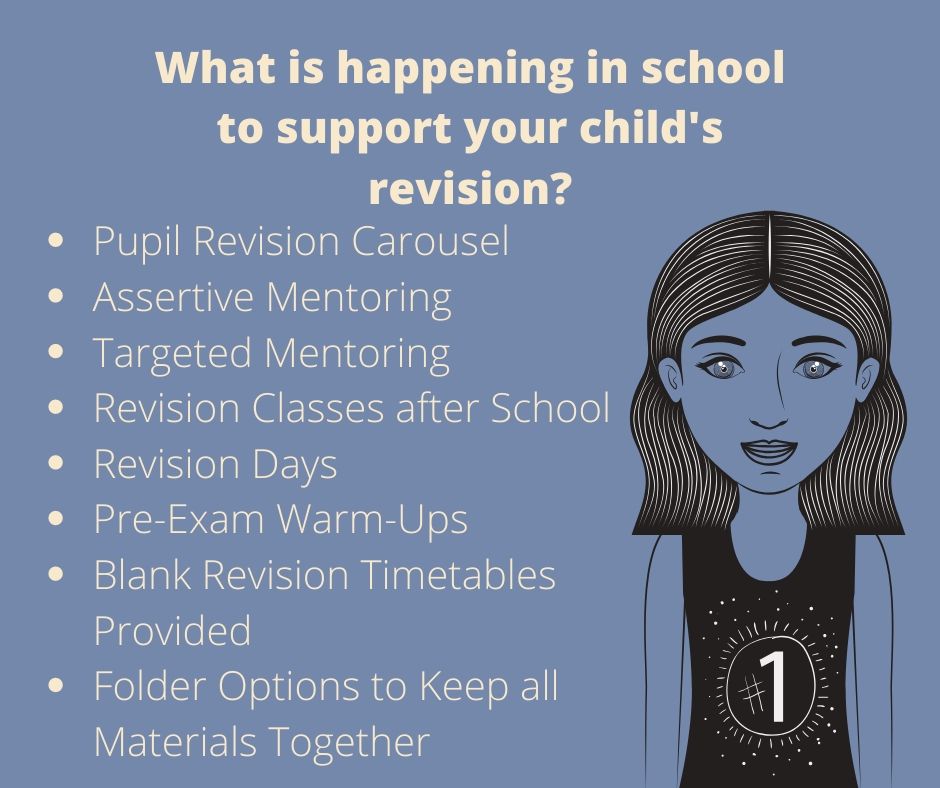 y11 revision support pic2